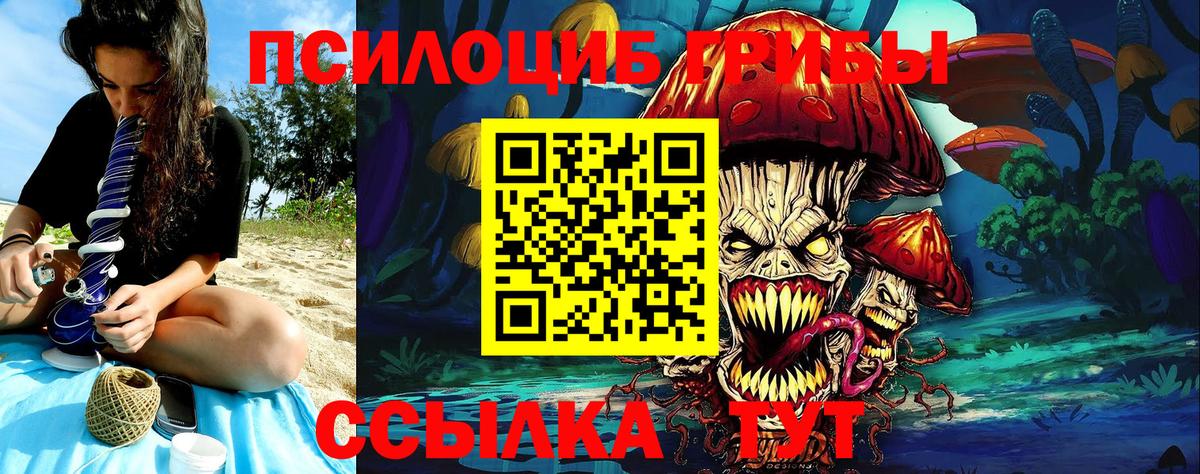 Галлюциногенные грибы Аксай